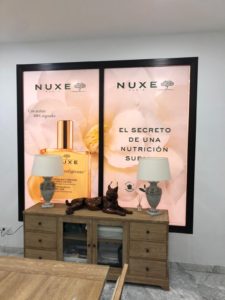 Montaje de Vinilo